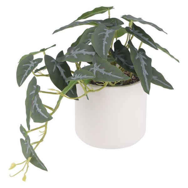 不二貿易 フェイクグリーン アロカシア セラミックポット グリーン 41138