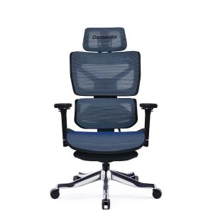 【欠品中：6月末入荷予定】関家具 sekikagu セレスティアル チェア ネプチューンブルー 394030 ゲーミングチェア オフィスチェア｜econvecoco