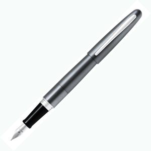 パイロット PILOT 万年筆 コクーン メタリックグレー 細字 ギフトケース付き FCO-3SR-MGY-F｜econvecoco