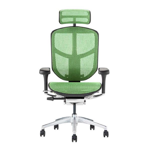 関家具 エルゴヒューマン エンジョイ2 ハイタイプ ブラックフレーム EJ2-HAM-BF-GN グ...