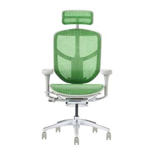 関家具 エルゴヒューマン エンジョイ2 ハイタイプ グレーフレーム EJ2-HAM-GF-GN グリーン 389601｜econvecoco