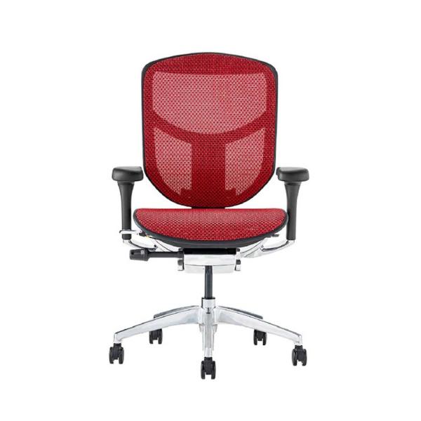 関家具 エルゴヒューマン エンジョイ2 ロータイプ ブラックフレーム EJ2-LAM-BF-RD レ...