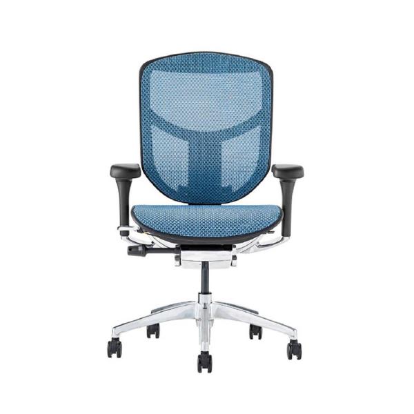 関家具 エルゴヒューマン エンジョイ2 ロータイプ ブラックフレーム EJ2-LAM-BF-BL ブ...