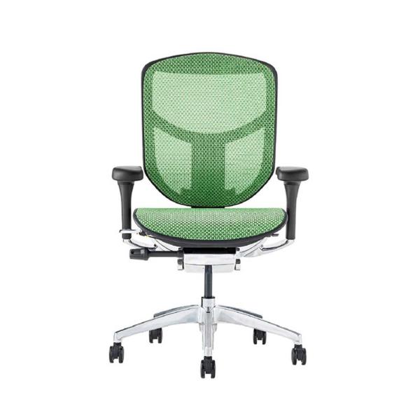 関家具 エルゴヒューマン エンジョイ2 ロータイプ ブラックフレーム EJ2-LAM-BF-GN グ...