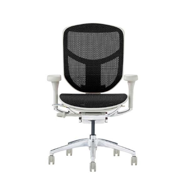 関家具 エルゴヒューマン エンジョイ2 ロータイプ グレーフレーム EJ2-LAM-GF-BK ブラ...