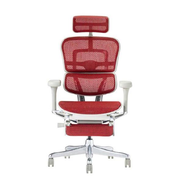 関家具 エルゴヒューマン プロ2 オットマン グレーフレーム EHP2-LPL-DR-GF-RD レ...