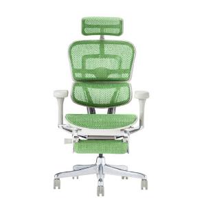 関家具 エルゴヒューマン プロ2 オットマン グレーフレーム EHP2-LPL-DR-GF-GN グリーン 445405｜econvecoco