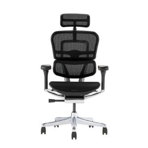 関家具 エルゴヒューマン プロ2 ハイタイプ ブラックフレーム EHP2-HAM-DR-BF-BK ブラック 445406｜econvecoco