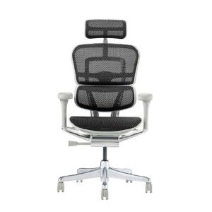 関家具 エルゴヒューマン プロ2 ハイタイプ グレーフレーム EHP2-HAM-DR-GF-BK ブラック 445411｜econvecoco