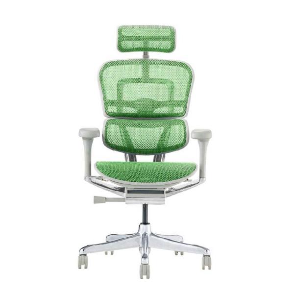 関家具 エルゴヒューマン プロ2 ハイタイプ グレーフレーム EHP2-HAM-DR-GF-GN グ...