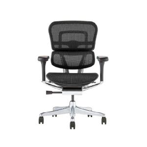 関家具 エルゴヒューマン プロ2 ロータイプ ブラックフレーム EHP2-LAM-DR-BF-BK ブラック 445416｜econvecoco