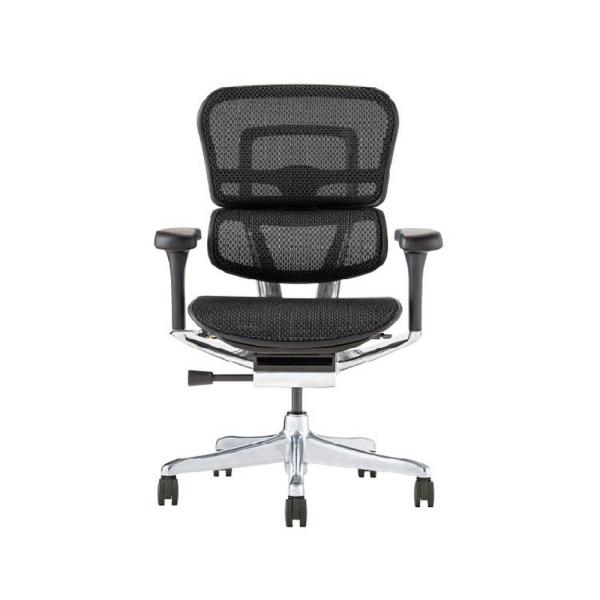 関家具 エルゴヒューマン プロ2 ロータイプ ブラックフレーム EHP2-LAM-DR-BF-BK ...