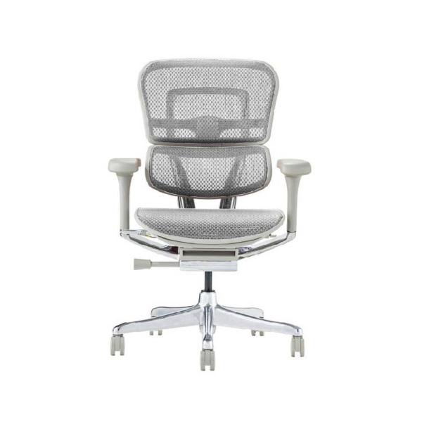 関家具 エルゴヒューマン プロ2 ロータイプ グレーフレーム EHP2-LAM-DR-GF-WH ホ...