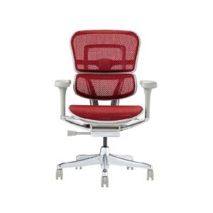 関家具 エルゴヒューマン プロ2 ロータイプ グレーフレーム EHP2-LAM-DR-GF-RD レッド 445423｜econvecoco