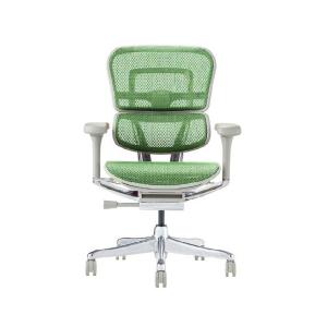 関家具 エルゴヒューマン プロ2 ロータイプ グレーフレーム EHP2-LAM-DR-GF-GN グリーン 445425｜econvecoco