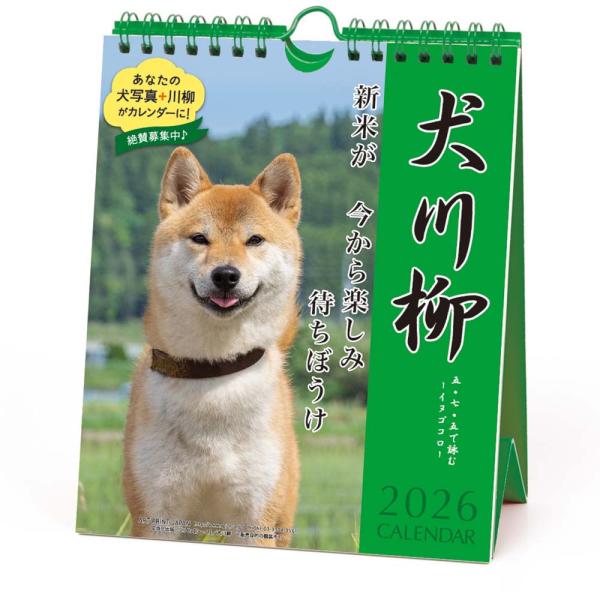 アートプリントジャパン 26年 カレンダー 犬川柳 週めくり 1000136871
