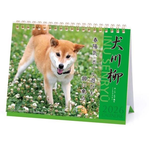 アートプリントジャパン 26年 カレンダー 犬川柳 卓上 1000136878