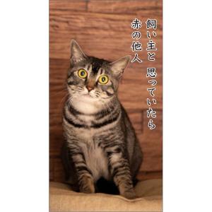 アートプリントジャパン 26年 カレンダー 猫...の詳細画像2