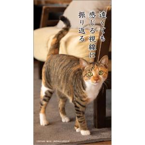 アートプリントジャパン 26年 カレンダー 猫...の詳細画像4