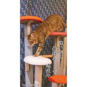 アートプリントジャパン 26年 カレンダー 猫...の詳細画像5
