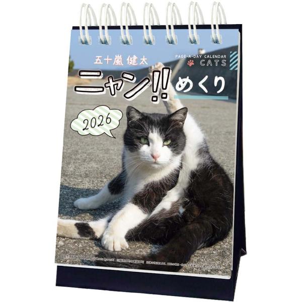 アートプリントジャパン 26年 カレンダー ニャン！！めくり 五十嵐健太 1000136880
