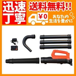 YARD FORCE ロングノズルブロワ 18V コードレス 充電式