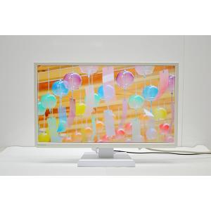 IO DATA LCD-AD172SEB 17インチスクエア非光沢パネル SXGA 1280x1024