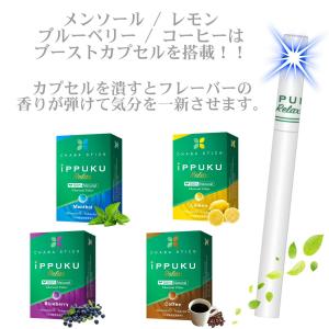 iPPUKU RELAX 茶葉スティック 禁煙...の詳細画像3