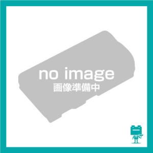 非常灯・誘導灯 20N4500DS-TTバッテリー リフレッシュ（純正品お預かり再生/セル交換）