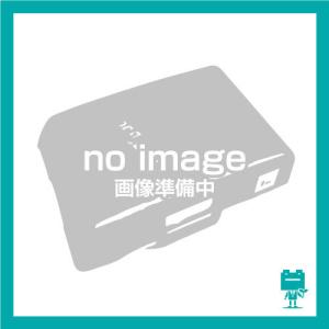 エレクトロラックス（Electrolux） 掃除機 ZB271RF、PNC 900 164 019