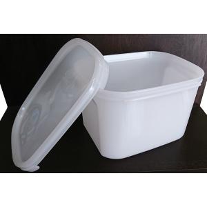 いろいろ使える楽しい容器 いきいき BOX Ex...の商品画像