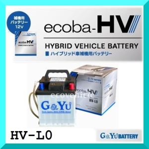 ecovehicle-y_hv-l0-gyu-02