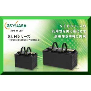 GSユアサ GC200 GS YUASA ジーエスユアサ (高性能ディープ GSユアサ GC200 GS YUASA ジーエスユアサ (高性能ディープ
