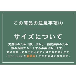 BAMBOO_NM5_350 棒引き用竹 直径...の詳細画像3