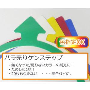 TY-KENSTEP_1C ケンステップバラ売り(1枚)色指定可 規格：直径約40cm　約60g