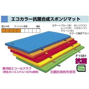 SALE F1596 エコカラー抗菌合成スポンジマット　１２０ｘ６００ｘ６ 規格：重量（kg）：44