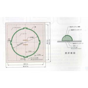 DH-ST-2 一般用室内土俵(15尺土俵・直...の詳細画像1