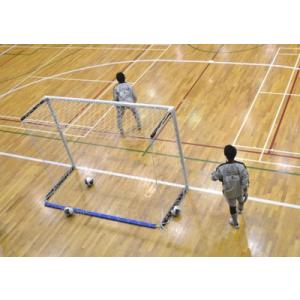 RT-F012910 フットサルゴール プロ仕...の詳細画像1