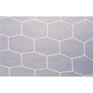 RT-N162612 サッカーゴールネット　六角（白） ジュニア用