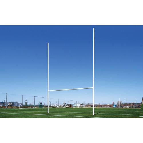 RT-R030955 ラグビー/アメフト対応ゴール  H9.2m本体アルミ（標準仕様）