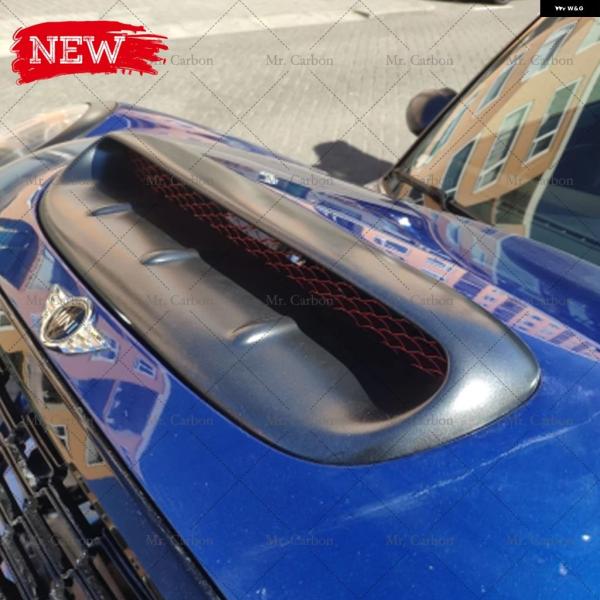 並行輸入品 MINI COOPER S R53/R50/R52用デュアルAG スタイル カーボン グ...