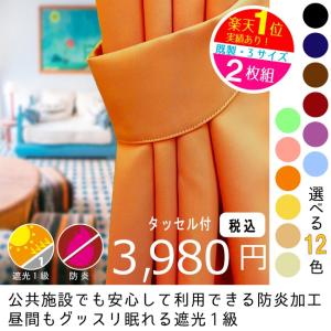 カーテン 遮光 1級遮光 2枚組 防炎 無地 巾100cm×高さ135