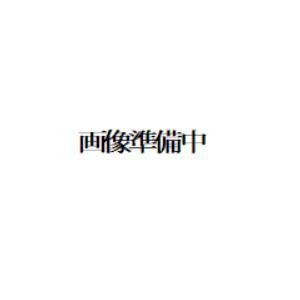 SONY ソニー  純正 MDR-EX800ST用プラグ付きコード  183819211