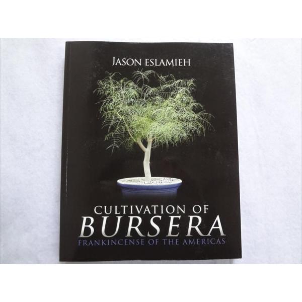 洋書 ブルセラ 写真集 植物 図鑑 Cultivation of Bursera