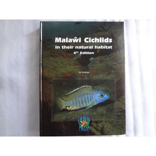洋書 シクリッド Malawi cichlids in their natural habitat ...