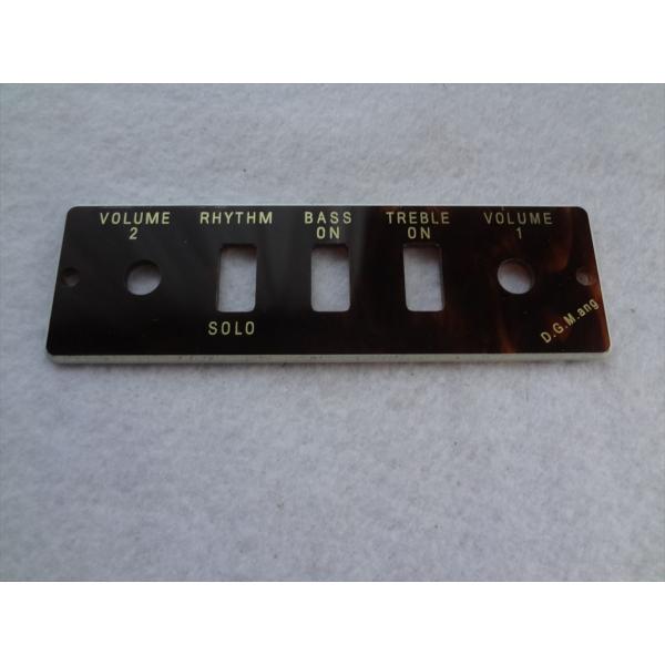 Hofner ヘフナー 純正 ギター パーツ  HA2B-T コントロール パネル プレート Gui...