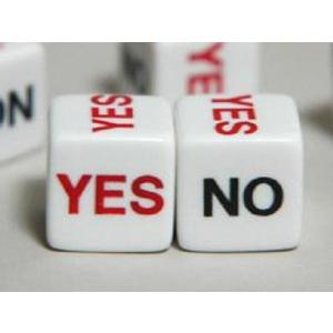 ＹＥＳ　ＮＯダイス16ｍｍ