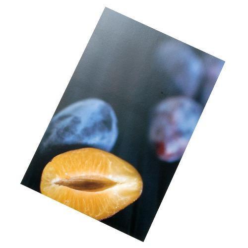 ポストカード[Frutteria] プルーン