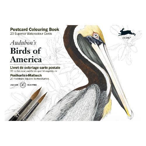 カラーリングブック ポストカード アメリカの鳥 ぬりえ ギフト プレゼント 公式通販サイト