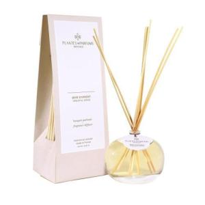 リードディフューザー100ml オリエンタルウッド プランツ＆パルファム プレゼント 公式通販サイト